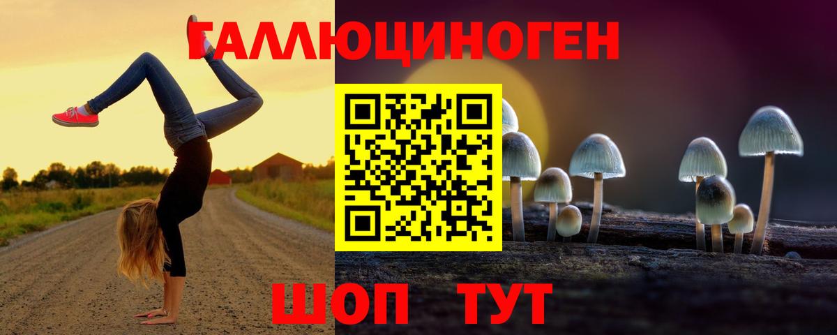 Галлюциногенные грибы MAGIC MUSHROOMS Амурск